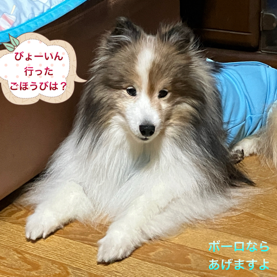 IMG_9308.jpeg