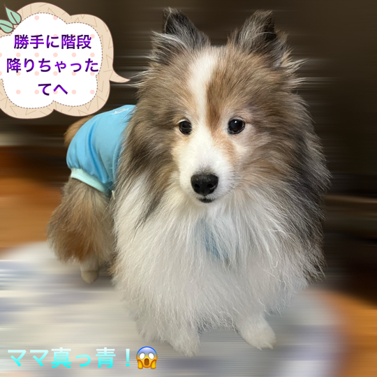 IMG_9312.jpeg