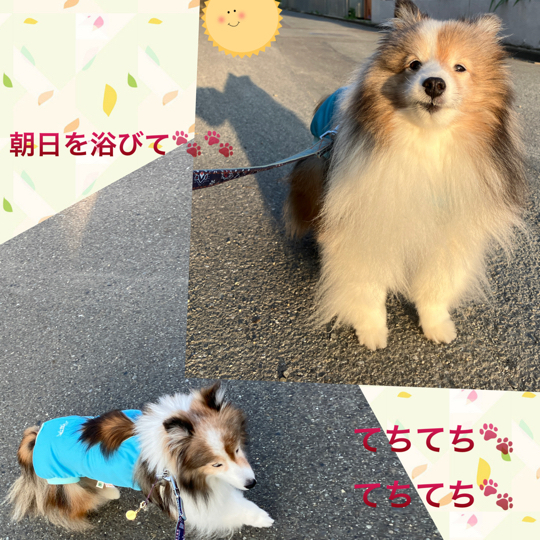 IMG_9381.jpeg