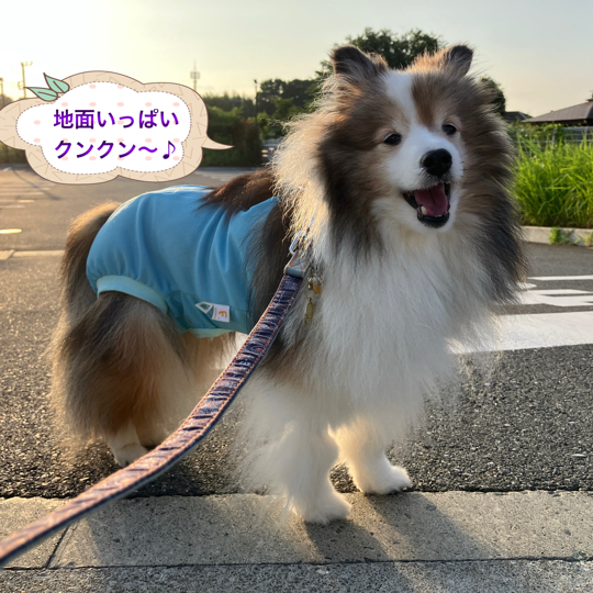 IMG_9382.jpeg