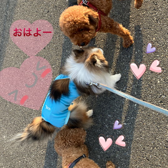 IMG_9384.jpeg