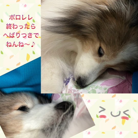 IMG_9386.jpeg