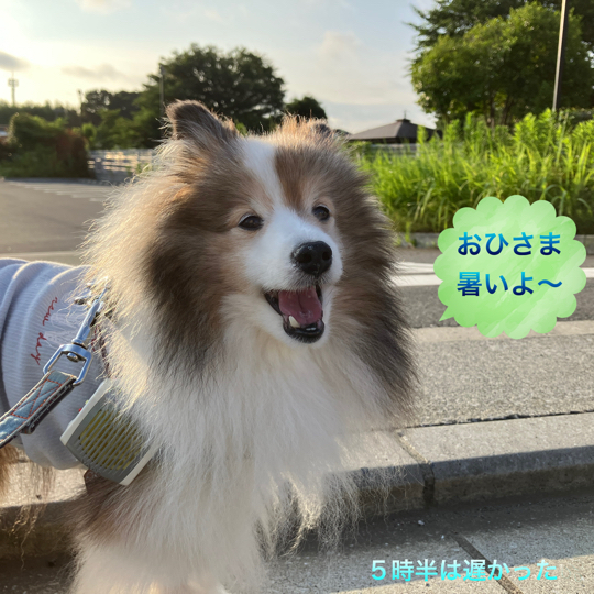IMG_9426.jpeg