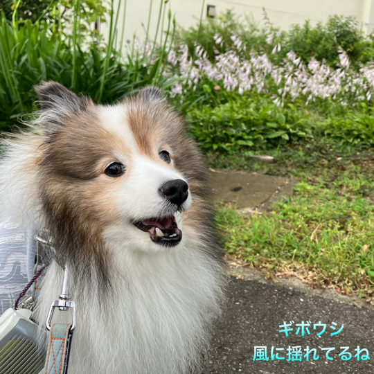 IMG_9538.jpeg