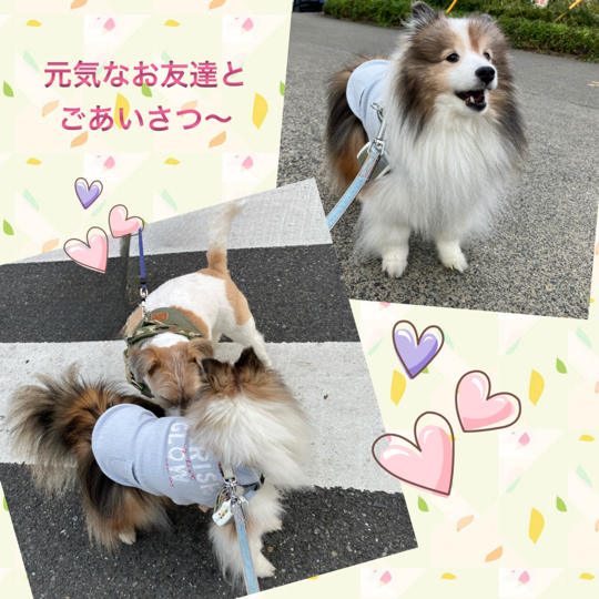 IMG_9539.jpeg