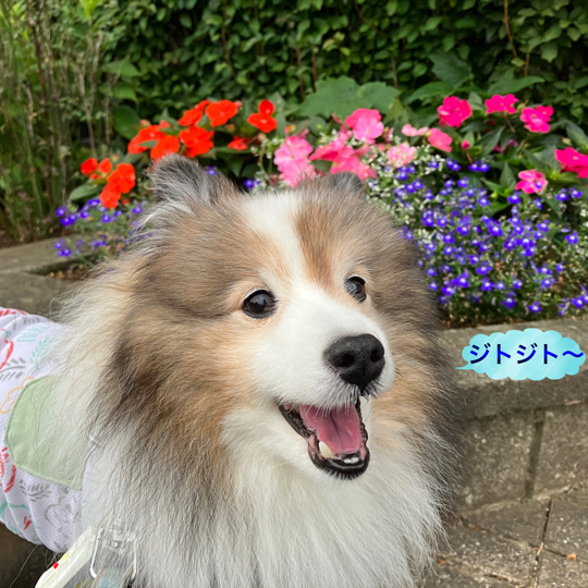 IMG_9565.jpeg
