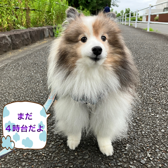 IMG_9566.jpeg