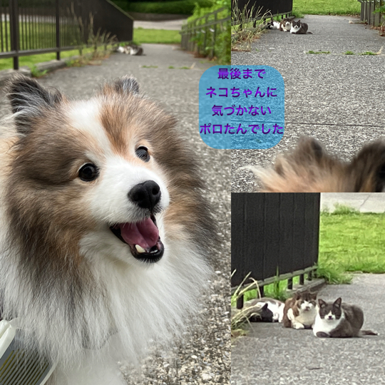 IMG_9567.jpeg
