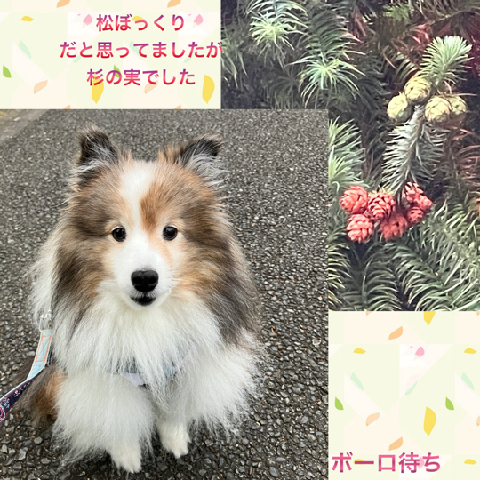 IMG_9569.jpeg