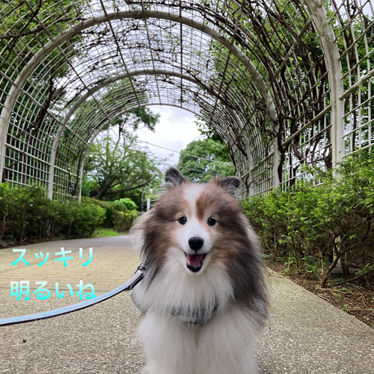 IMG_9586.jpeg