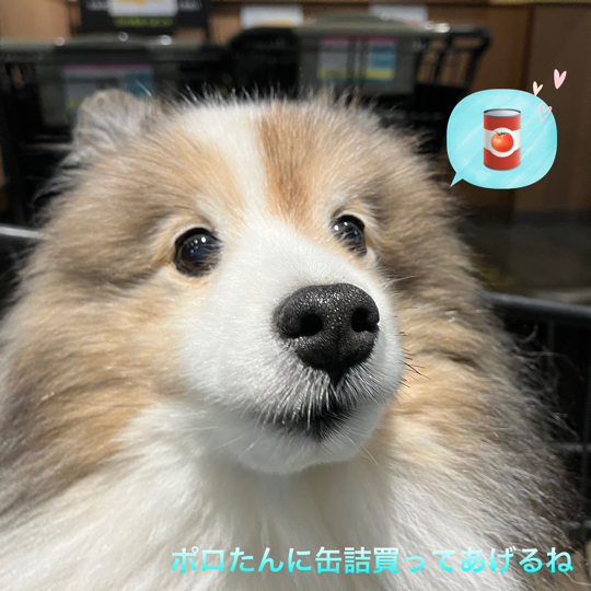 IMG_9589.jpeg