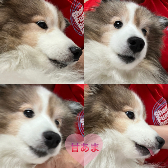 IMG_9621.jpeg