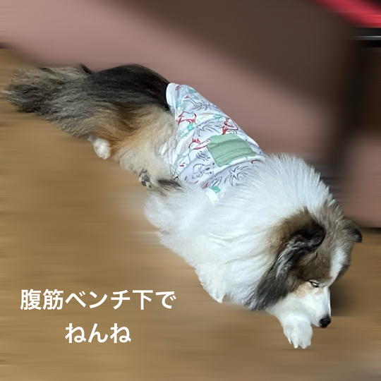 IMG_9656.jpeg