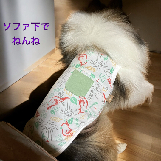 IMG_9657.jpeg