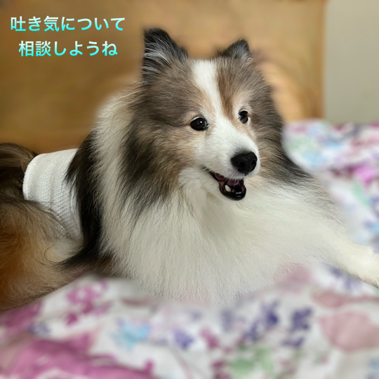 IMG_9659.jpeg