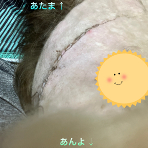 IMG_9662.jpeg
