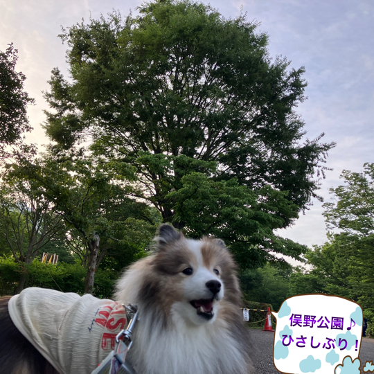 IMG_9720.jpeg