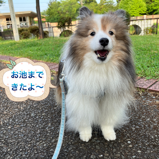 IMG_9723.jpeg