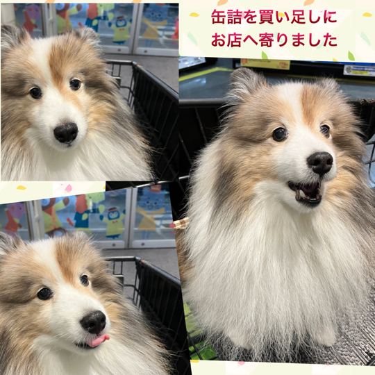 IMG_9726.jpeg