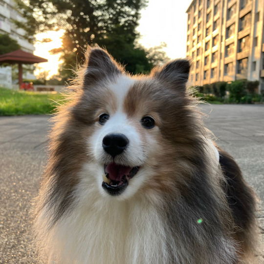 IMG_9749.jpeg