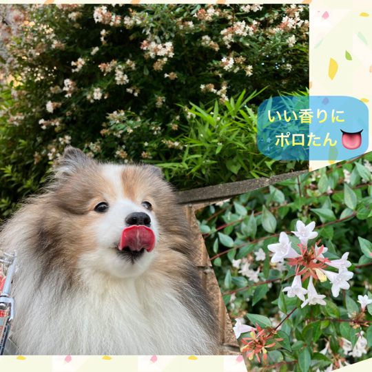 IMG_9754.jpeg