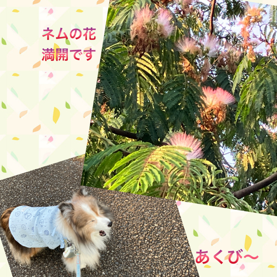 IMG_9787.jpeg