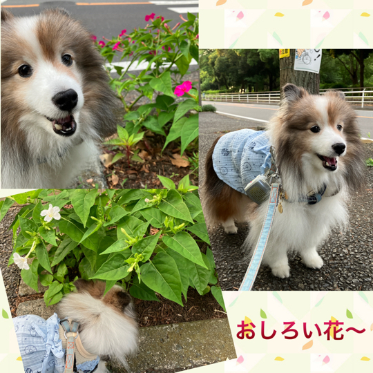 IMG_9791.jpeg