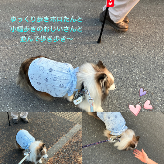 IMG_9823.jpeg