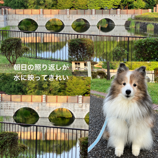 IMG_9825.jpeg