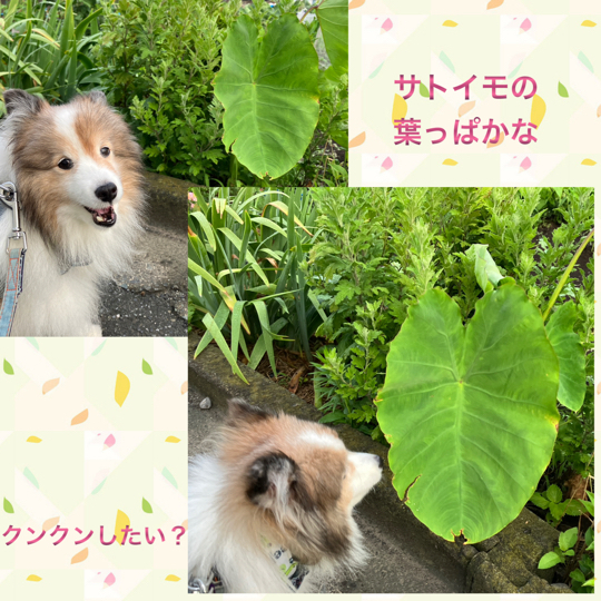IMG_9860.jpeg