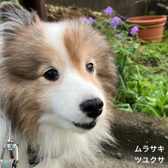 IMG_9861.jpeg