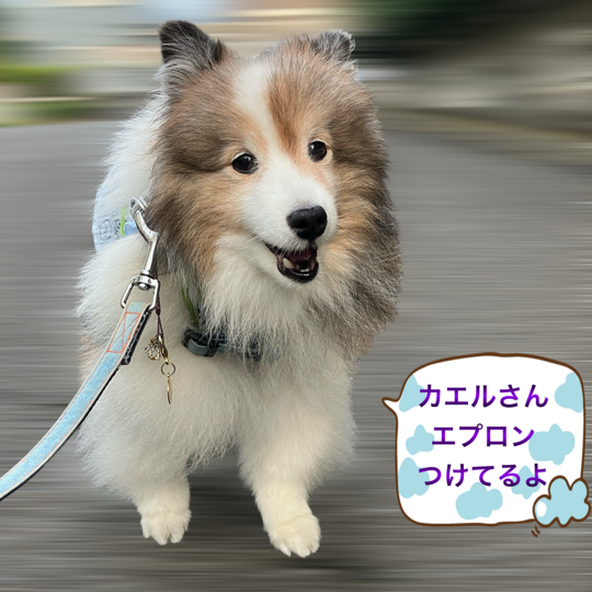 IMG_9864.jpeg