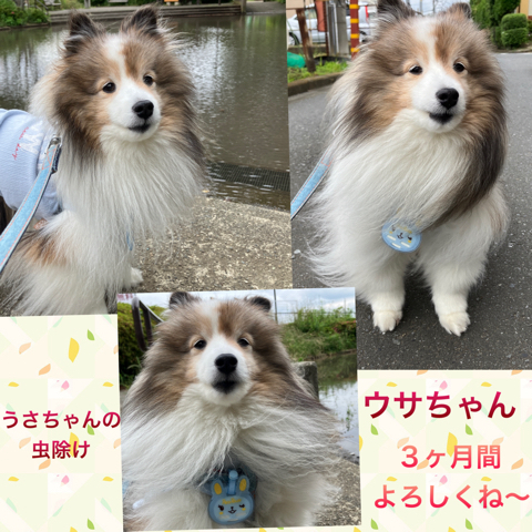 IMG_9878.jpeg