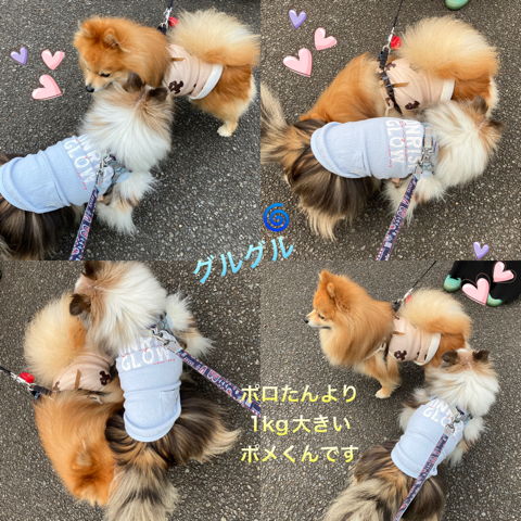 IMG_9881.jpeg
