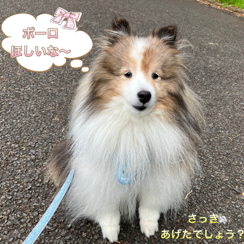 IMG_9882.jpeg