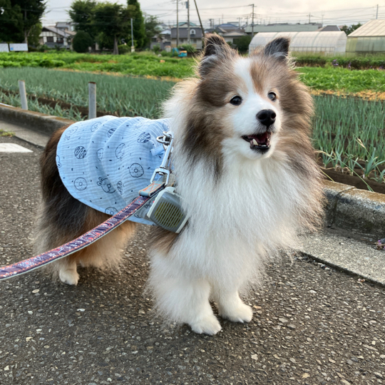 IMG_9886.jpeg