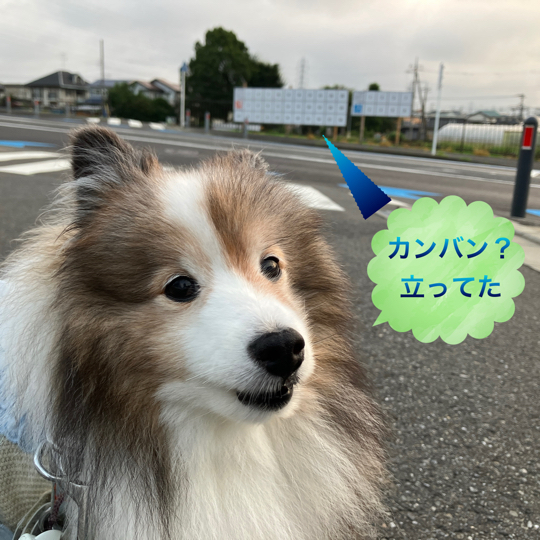 IMG_9888.jpeg